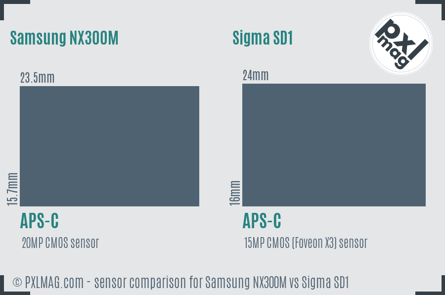 Samsung NX300M vs Sigma SD1 sensor size comparison