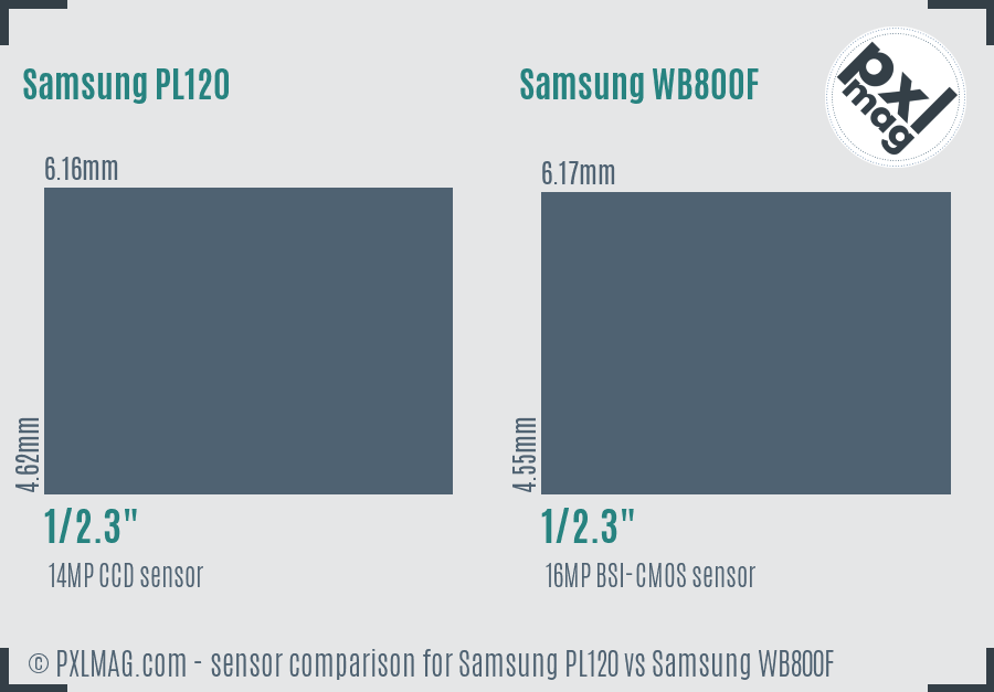 Samsung PL120 vs Samsung WB800F sensor size comparison