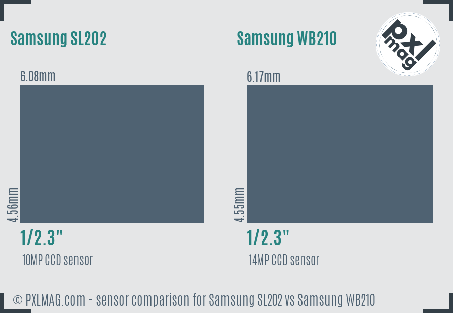Samsung SL202 vs Samsung WB210 sensor size comparison