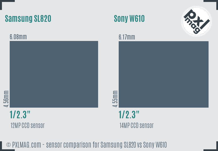 Samsung SL820 vs Sony W610 sensor size comparison