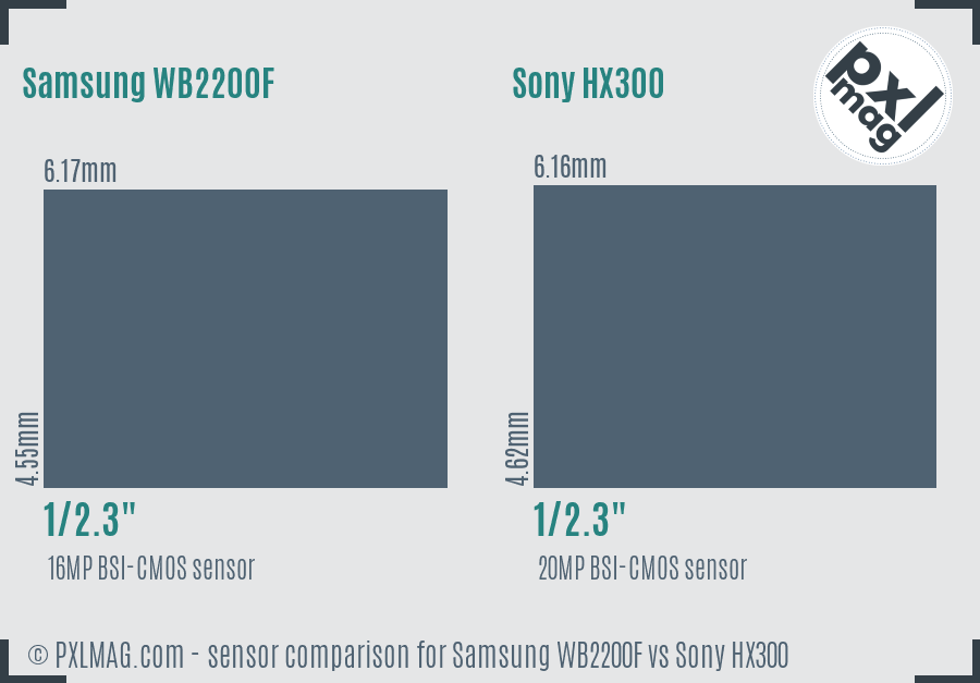 Samsung WB2200F vs Sony HX300 sensor size comparison