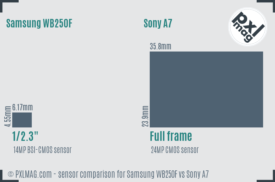 Samsung WB250F vs Sony A7 sensor size comparison