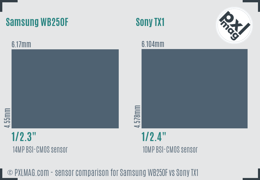 Samsung WB250F vs Sony TX1 sensor size comparison Samsung WB250F vs Sony TX1 sensor size comparison