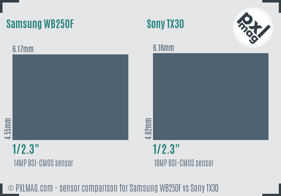 Samsung WB250F vs Sony TX30 sensor size comparison