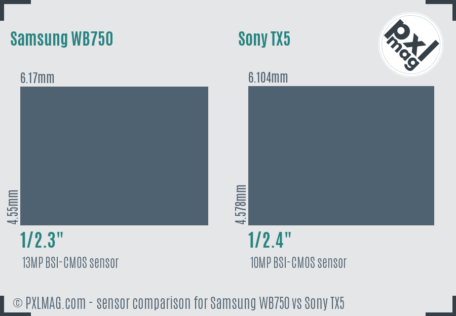 Samsung WB750 vs Sony TX5 sensor size comparison