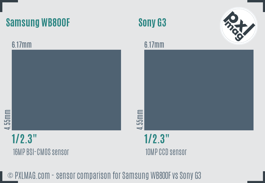 Samsung WB800F vs Sony G3 sensor size comparison