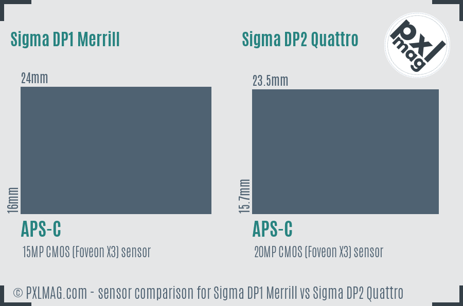 Sigma DP1 Merrill vs Sigma DP2 Quattro sensor size comparison
