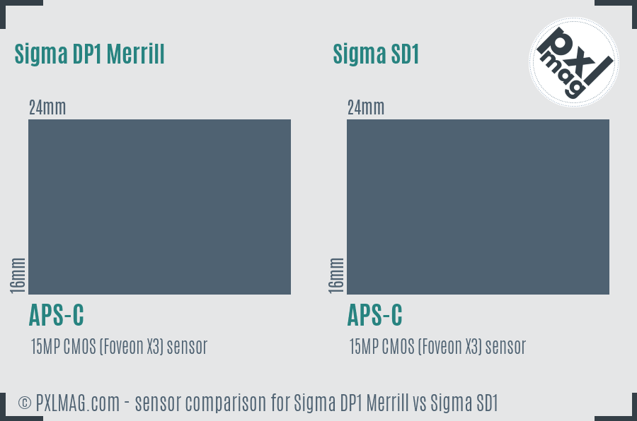 Sigma DP1 Merrill vs Sigma SD1 sensor size comparison