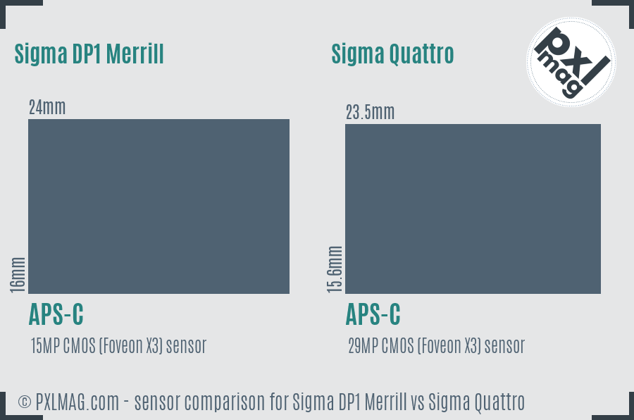 Sigma DP1 Merrill vs Sigma Quattro sensor size comparison