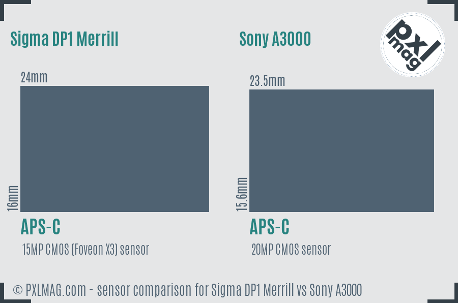 Sigma DP1 Merrill vs Sony A3000 sensor size comparison
