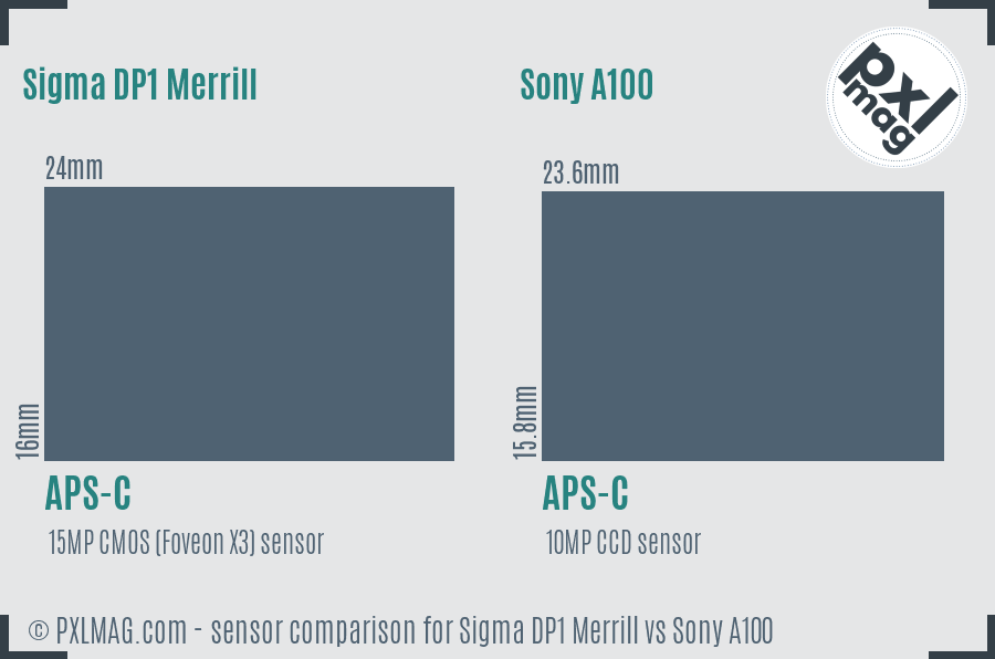 Sigma DP1 Merrill vs Sony A100 sensor size comparison