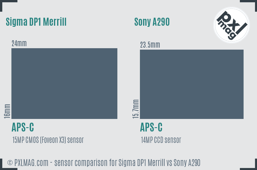 Sigma DP1 Merrill vs Sony A290 sensor size comparison