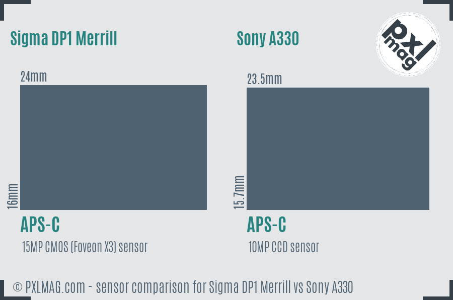 Sigma DP1 Merrill vs Sony A330 sensor size comparison