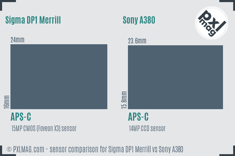 Sigma DP1 Merrill vs Sony A380 sensor size comparison