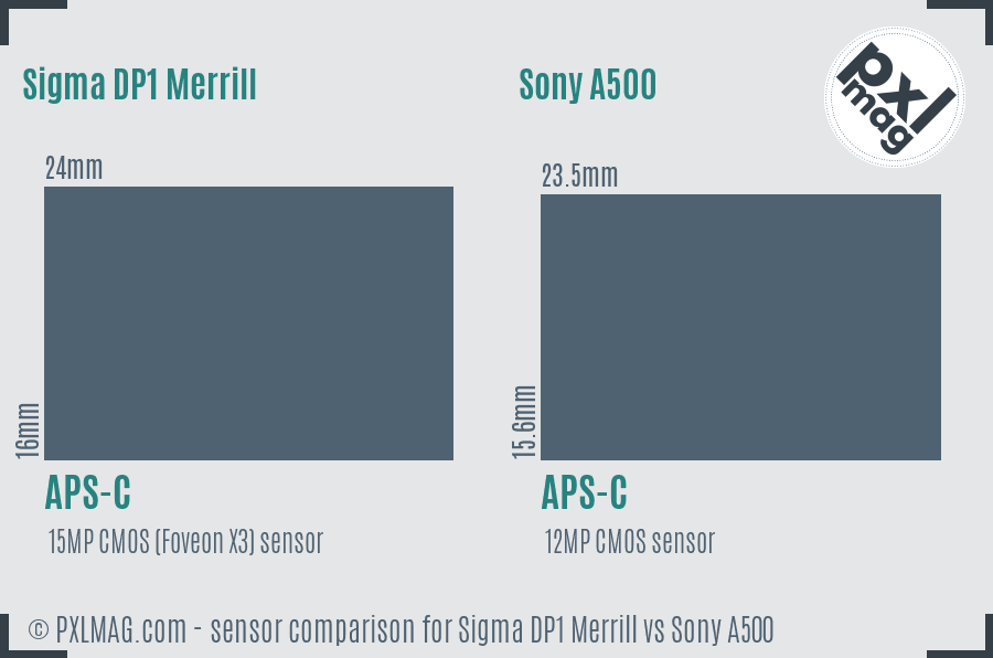 Sigma DP1 Merrill vs Sony A500 sensor size comparison Sigma DP1 Merrill vs Sony A500 sensor size comparison