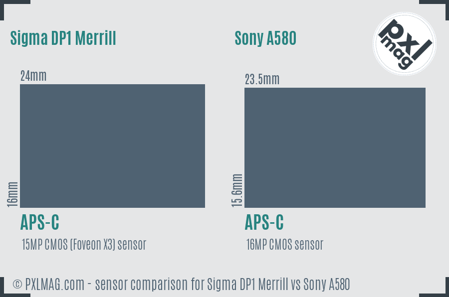 Sigma DP1 Merrill vs Sony A580 sensor size comparison