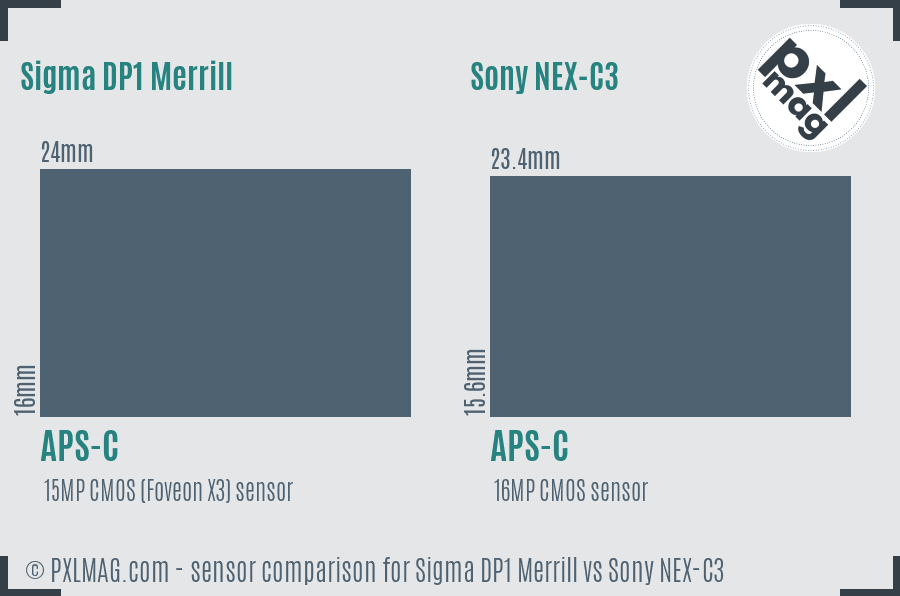 Sigma DP1 Merrill vs Sony NEX-C3 sensor size comparison
