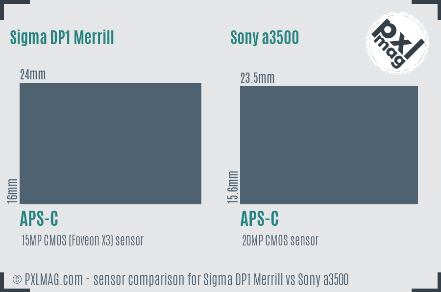 Sigma DP1 Merrill vs Sony a3500 sensor size comparison