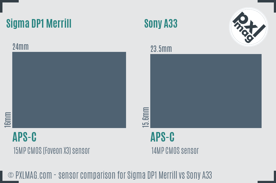 Sigma DP1 Merrill vs Sony A33 sensor size comparison