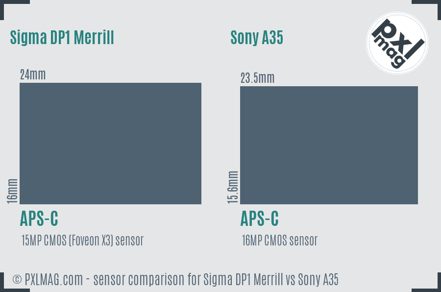 Sigma DP1 Merrill vs Sony A35 sensor size comparison