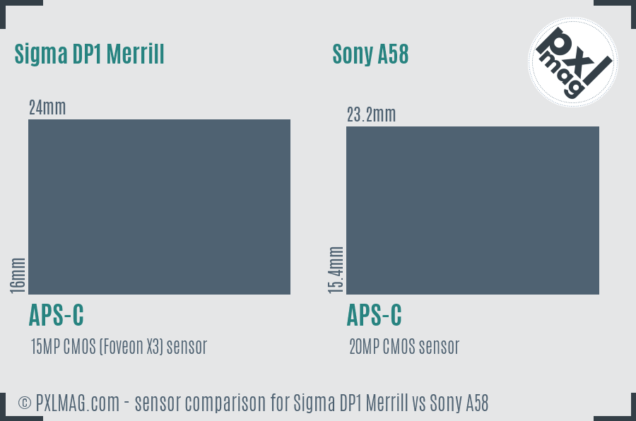 Sigma DP1 Merrill vs Sony A58 sensor size comparison