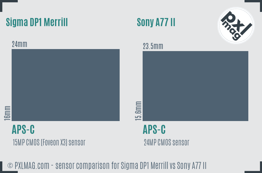 Sigma DP1 Merrill vs Sony A77 II sensor size comparison Sigma DP1 Merrill vs Sony A77 II sensor size comparison