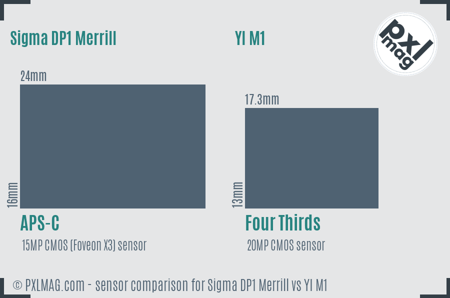 Sigma DP1 Merrill vs YI M1 sensor size comparison