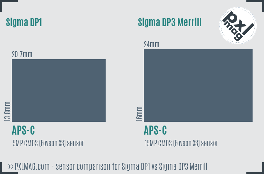 Sigma DP1 vs Sigma DP3 Merrill sensor size comparison