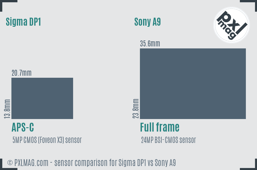 Sigma DP1 vs Sony A9 sensor size comparison