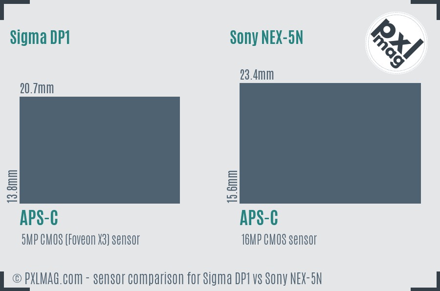 Sigma DP1 vs Sony NEX-5N sensor size comparison Sigma DP1 vs Sony NEX-5N sensor size comparison