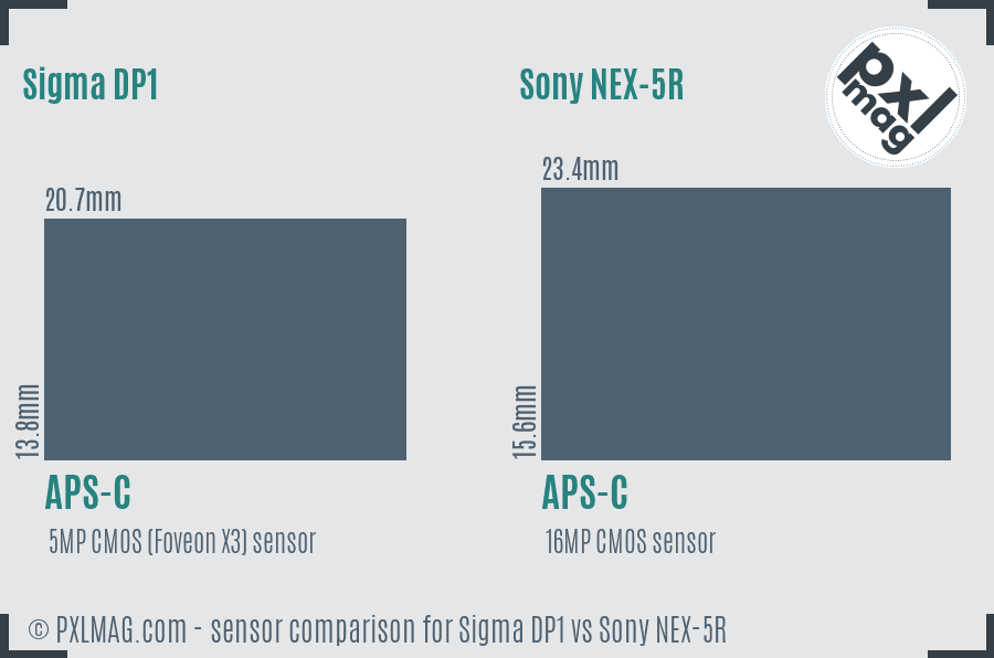 Sigma DP1 vs Sony NEX-5R sensor size comparison