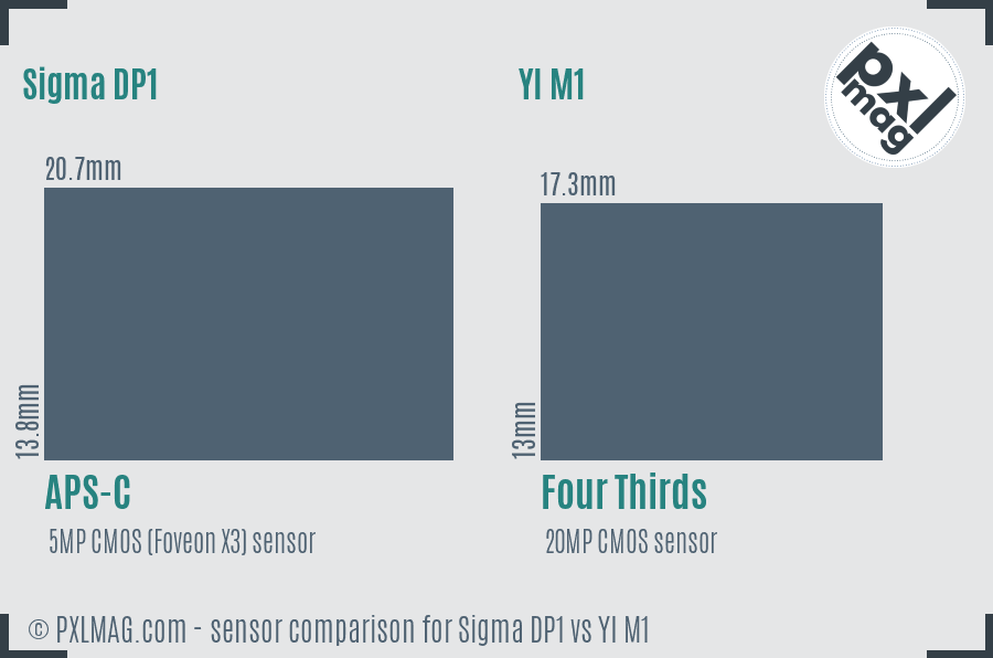 Sigma DP1 vs YI M1 sensor size comparison