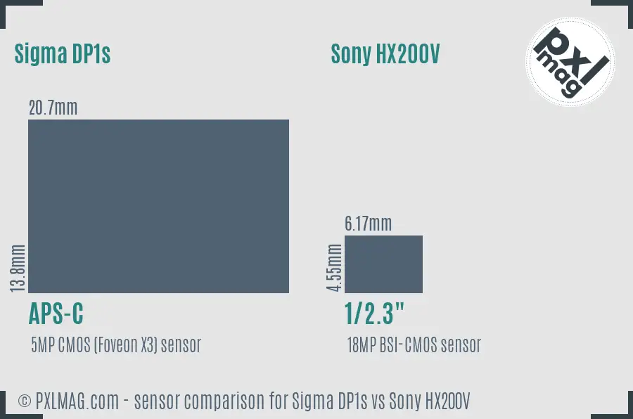 Sigma DP1s vs Sony HX200V sensor size comparison