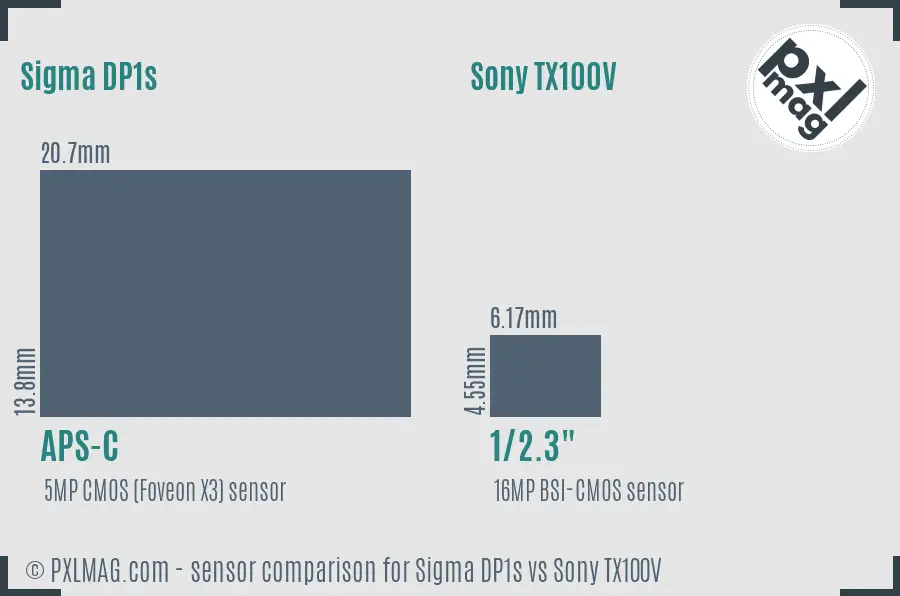 Sigma DP1s vs Sony TX100V sensor size comparison