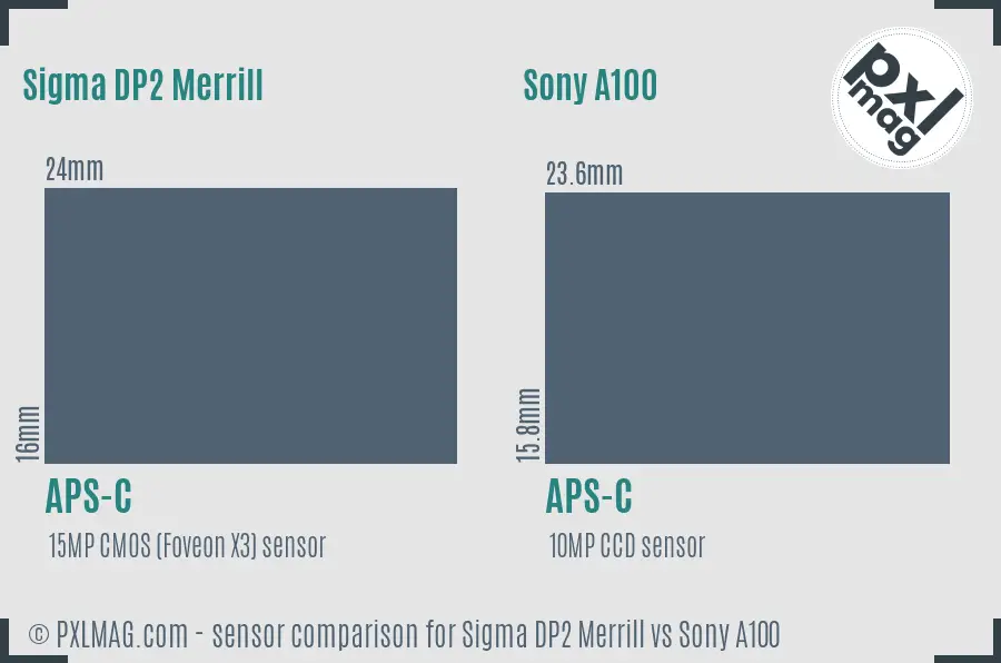 Sigma DP2 Merrill vs Sony A100 sensor size comparison Sigma DP2 Merrill vs Sony A100 sensor size comparison
