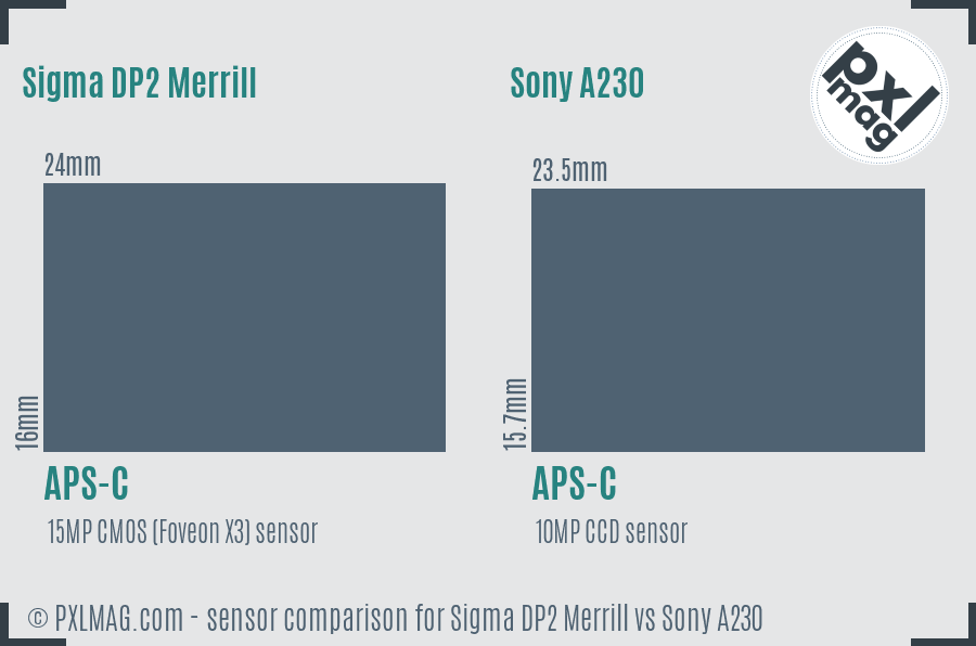 Sigma DP2 Merrill vs Sony A230 sensor size comparison Sigma DP2 Merrill vs Sony A230 sensor size comparison