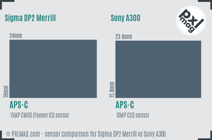 Sigma DP2 Merrill vs Sony A300 sensor size comparison