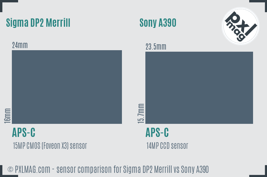 Sigma DP2 Merrill vs Sony A390 sensor size comparison