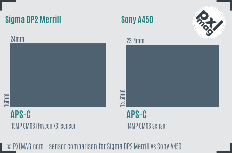 Sigma DP2 Merrill vs Sony A450 sensor size comparison