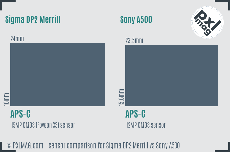 Sigma DP2 Merrill vs Sony A500 sensor size comparison