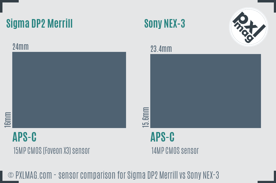 Sigma DP2 Merrill vs Sony NEX-3 sensor size comparison Sigma DP2 Merrill vs Sony NEX-3 sensor size comparison