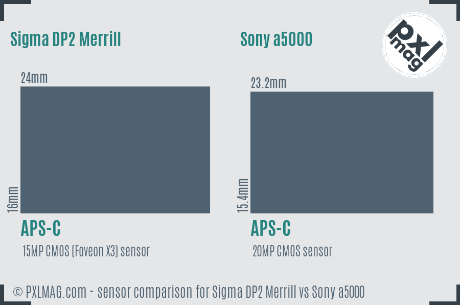 Sigma DP2 Merrill vs Sony a5000 sensor size comparison
