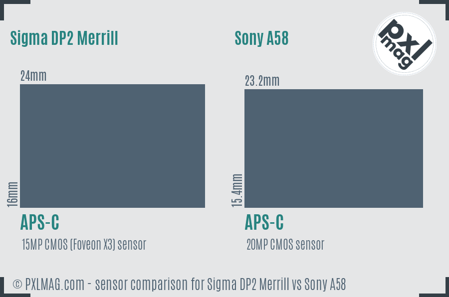 Sigma DP2 Merrill vs Sony A58 sensor size comparison