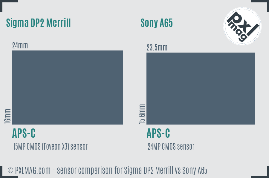 Sigma DP2 Merrill vs Sony A65 sensor size comparison