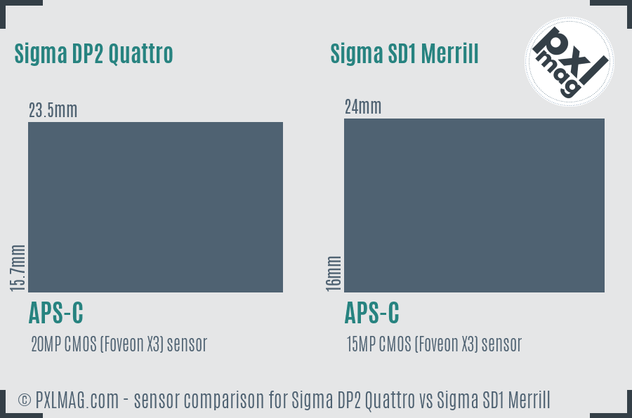 Sigma DP2 Quattro vs Sigma SD1 Merrill sensor size comparison
