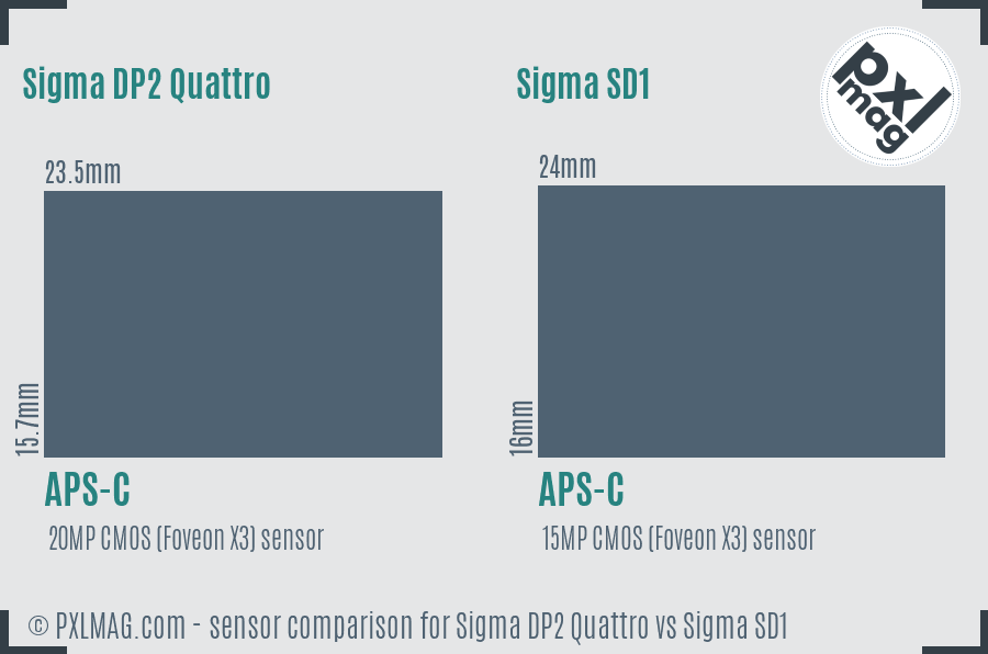 Sigma DP2 Quattro vs Sigma SD1 sensor size comparison