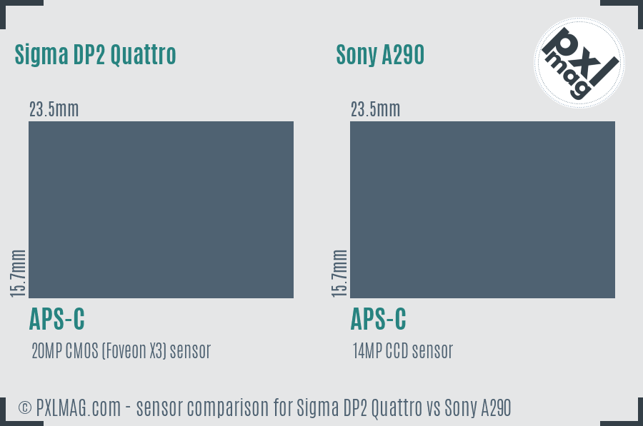 Sigma DP2 Quattro vs Sony A290 sensor size comparison