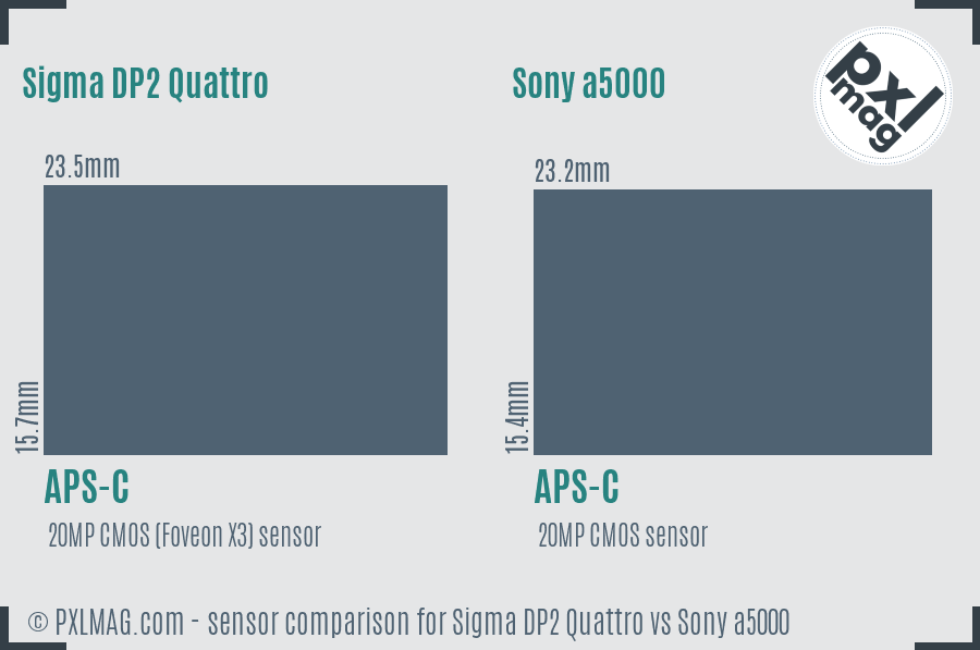 Sigma DP2 Quattro vs Sony a5000 sensor size comparison