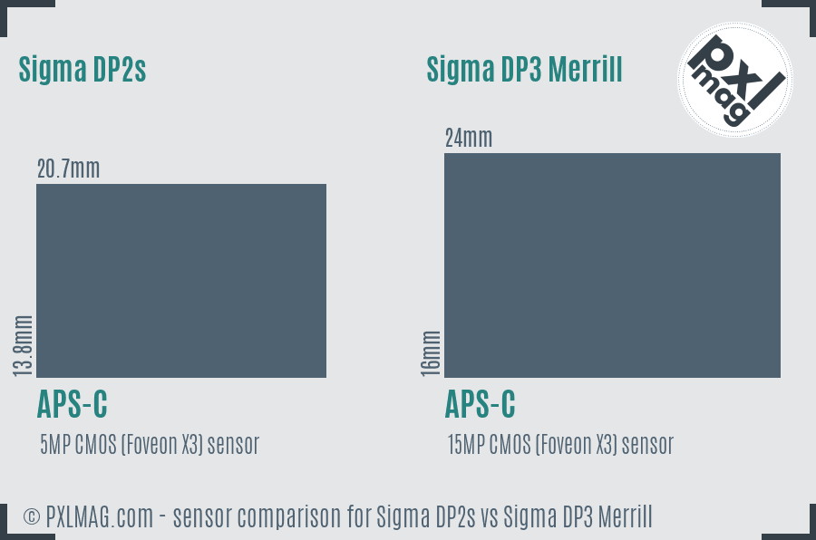 Sigma DP2s vs Sigma DP3 Merrill sensor size comparison