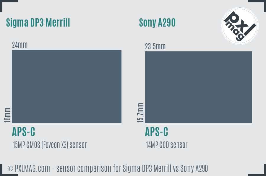 Sigma DP3 Merrill vs Sony A290 sensor size comparison